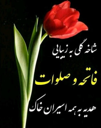 شادی روح همه رفتگان فاتحه و صلوات🌺🌺