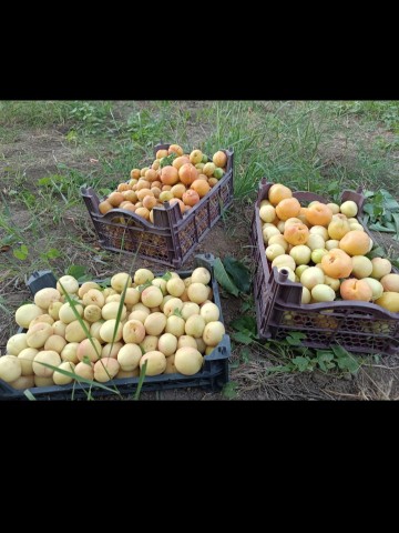 🤩🤩🤩🤩🤩🤩