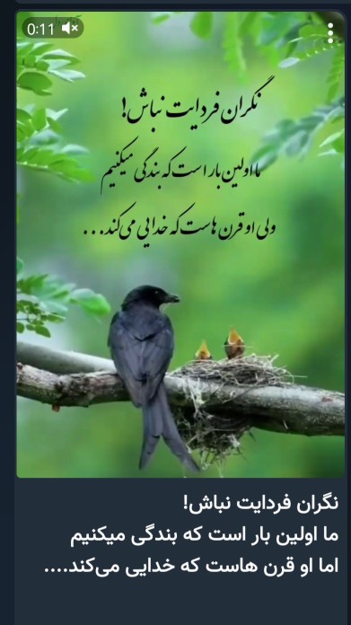 🌷❤️🌷❤️🌷