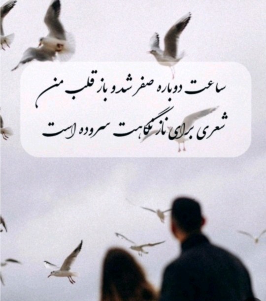 شعر