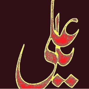 
اَلسَّلامُ عَلَیکمْ یا اَهْلَ بَیتِ النُّبُوَّة

