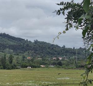 ✍️"یادش بخیر"!!سبزیِ شالیزار، بویِ بارون، سقف‌های خیس...🌨💯