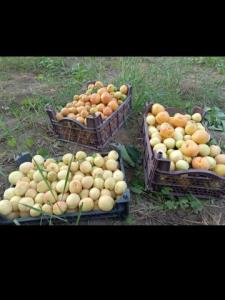 🤩🤩🤩🤩🤩🤩