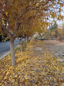 مرا عهدیست با جانان که تا جان در بدن دارم 