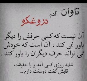 دروغ را همه می گویند ...