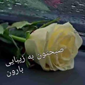 🌸 الهی 
که امروزتون 
         پر از برکت
                 شادی و
                        آرامش باشه🌸
                               روزتون دلپذیر باشه 🌸
             🌹🌹واستون روز خوبی آرزو میکنم🌹🌹 
                        ●☆༊࿐𖡹💞𖡹࿐༊☆●