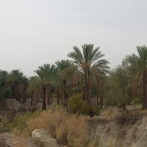 عکسی از ولات خودم بعد یک سال آمدم‌خونه بابای ♥️💞