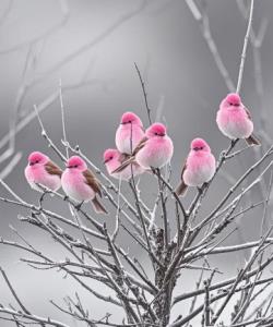 ازرش زندگیت به چیست؟ 