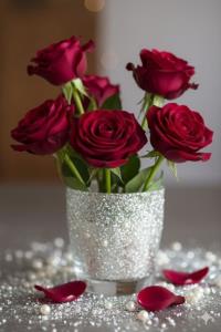 سلام شبتون آرام و دلپذیر