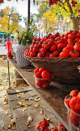 دلبرانهٔ پائیزی..