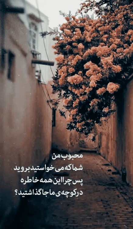 سلام گلای بامرام،صفای وجودتون دوستای نازنین 🙋🏻‍♂️🌙✨🌺🔥♥️