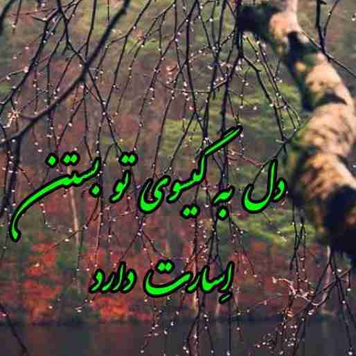 دل به گیسوی تو بستن اسارت دارد 