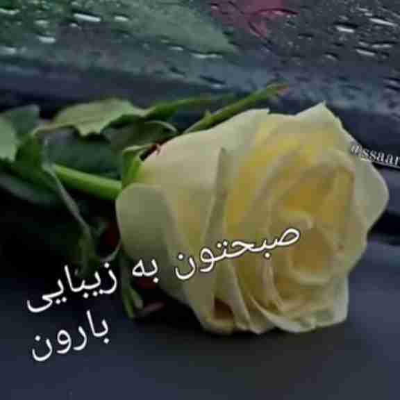 🌸 الهی 
که امروزتون 
         پر از برکت
                 شادی و
                        آرامش باشه🌸
                               روزتون دلپذیر باشه 🌸
             🌹🌹واستون روز خوبی آرزو میکنم🌹🌹 
                        ●☆༊࿐𖡹💞𖡹࿐༊☆●