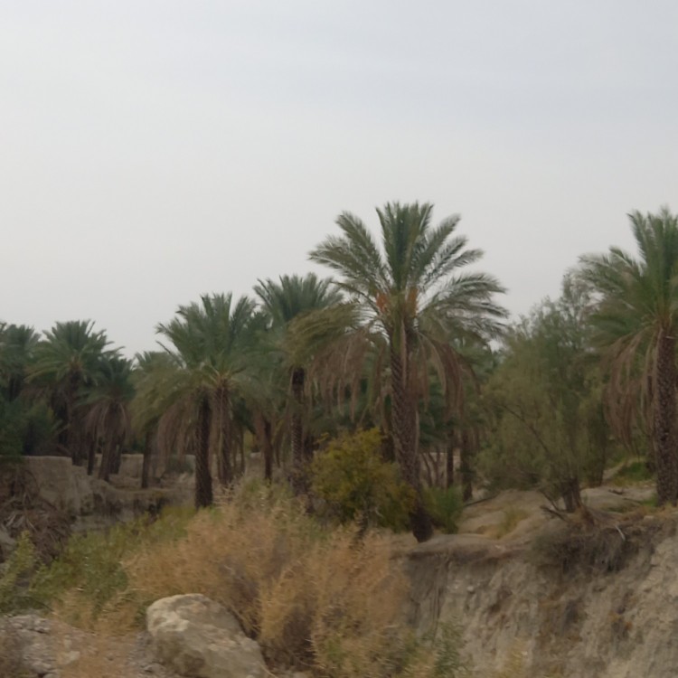 عکسی از ولات خودم بعد یک سال آمدم‌خونه بابای ♥️💞