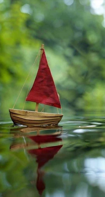 🌺🌹صبح 🌹همگی 🌹بخیر🌺🌹