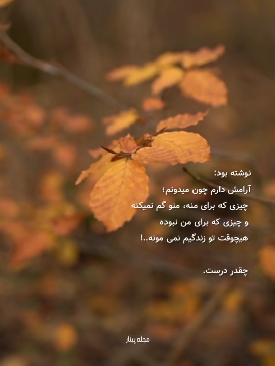 چقدر درست 😌