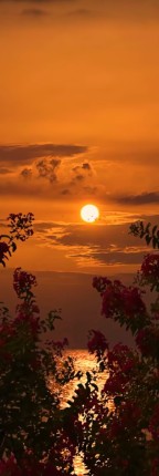 🤎🧡💛اوست گرفته شهر دل ....