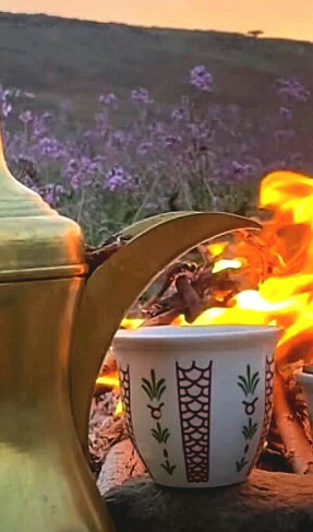 من‌شفت‌الگطن‌ینوخذللنداف،،عرفت‌النیته‌بیضه‌الناس