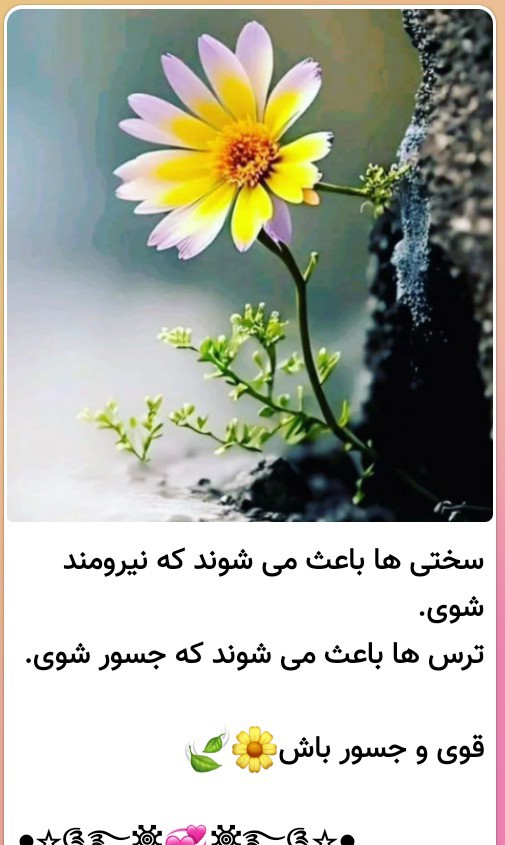 سلام دوستان گلم ظهرتون بخیر خوشی ✋️شادی هاتون بی پایان 💚🍂