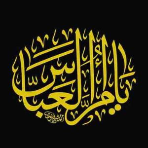 سلام بر تو که تمام عمر
مادرانه بر حسین گریستی و سوختی ..
