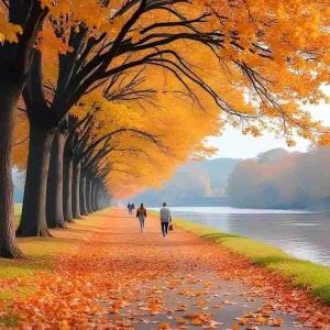 سلام علیکم....خوبان خبری صبح زیبای شما بخیرونیک....نیک فرجام باشید انشاالله تعالی 