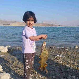 ماهی سد درود زن