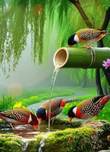 👤آبراهام هیکس