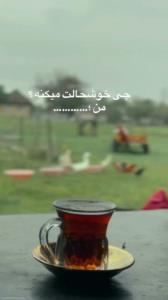 جای خالی راباجمله ی مناسب کامل کنید🏵