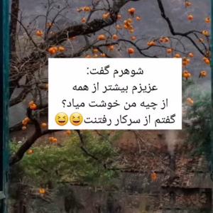 حرف حساب جواب نداره 😉🤣🤣🤣🤣🤣