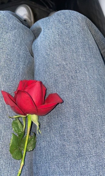 𝕋𝕙𝕚𝕤 𝕗𝕝𝕠𝕨𝕖𝕣 𝕚𝕤 𝕕𝕖𝕕𝕚𝕔𝕒𝕥𝕖𝕕 𝕥𝕠 𝕪𝕠𝕦