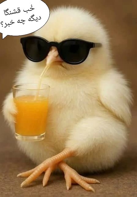 بنظرتون کی با کلاسه تو خبری ؟😐👩🏻‍🦯