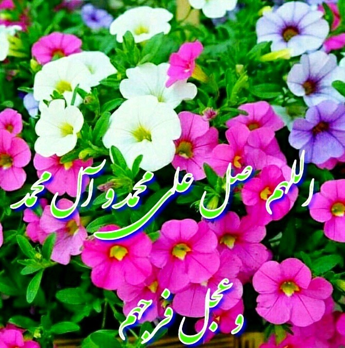 شادی روح همه رفتگان فاتحه و صلوات🌺🌺