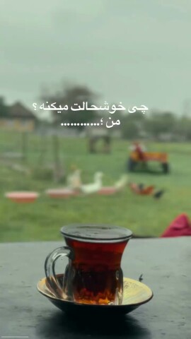 جای خالی راباجمله ی مناسب کامل کنید🏵