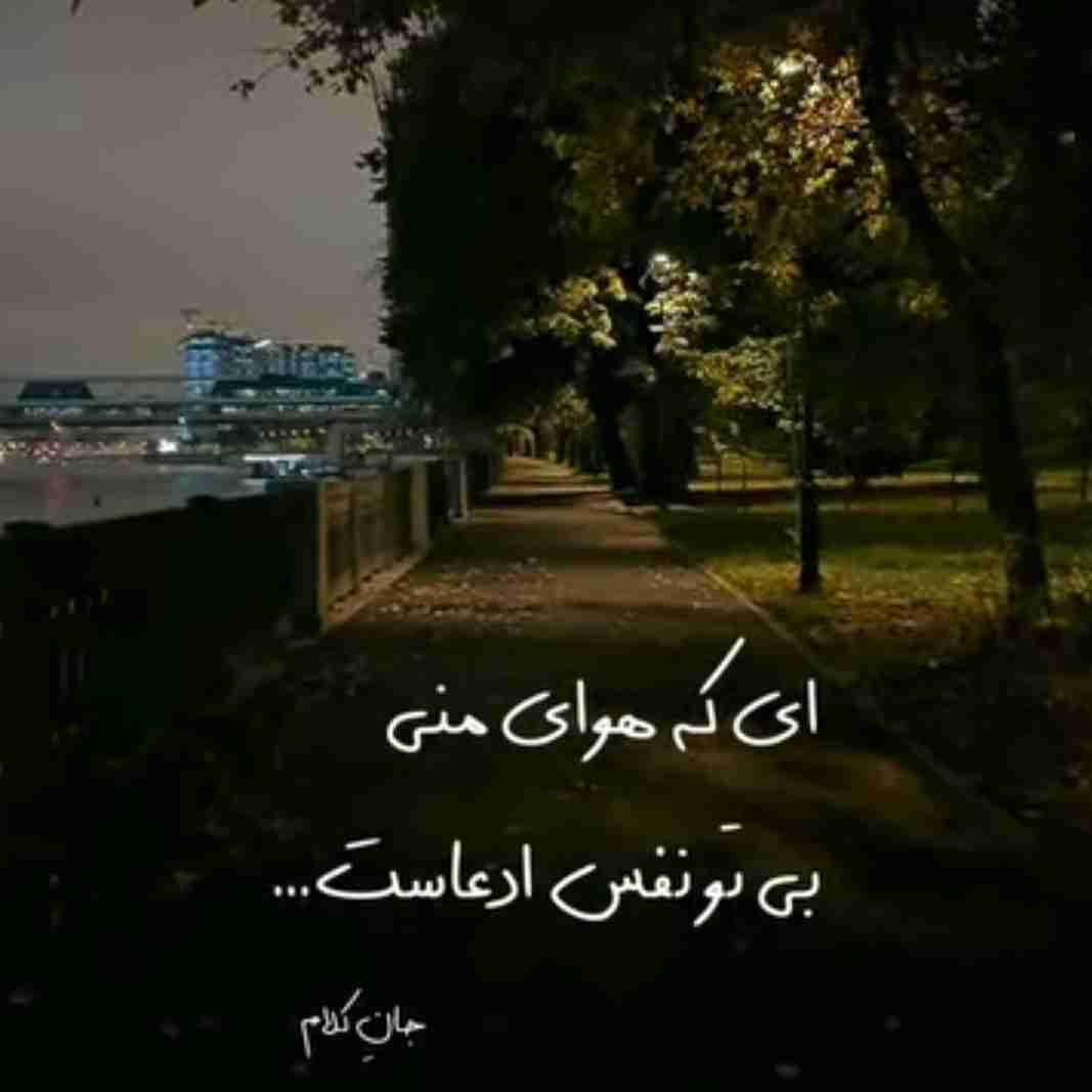 قلب من Armin ❤️