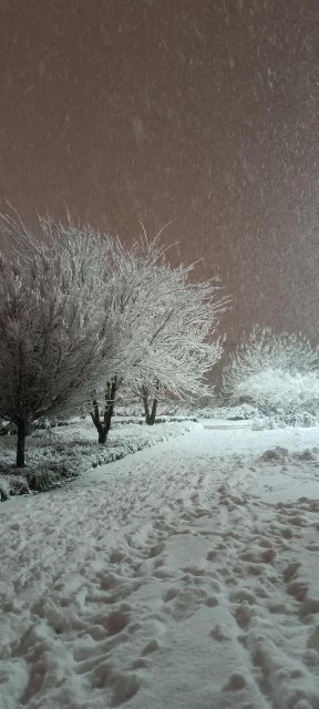 یادش بخیر،برف پارسال⛄🌨️