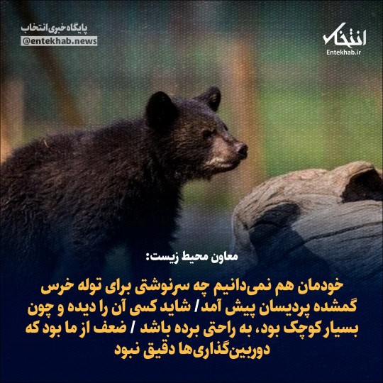 هر چی پت و مته مسئول شده
