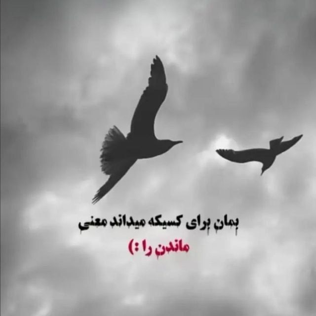 اونجا که حافظ میگه:🌹🤞🏼