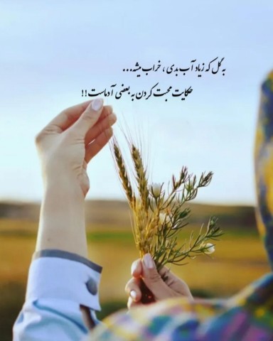 دقیقا حرف حق 👌👌