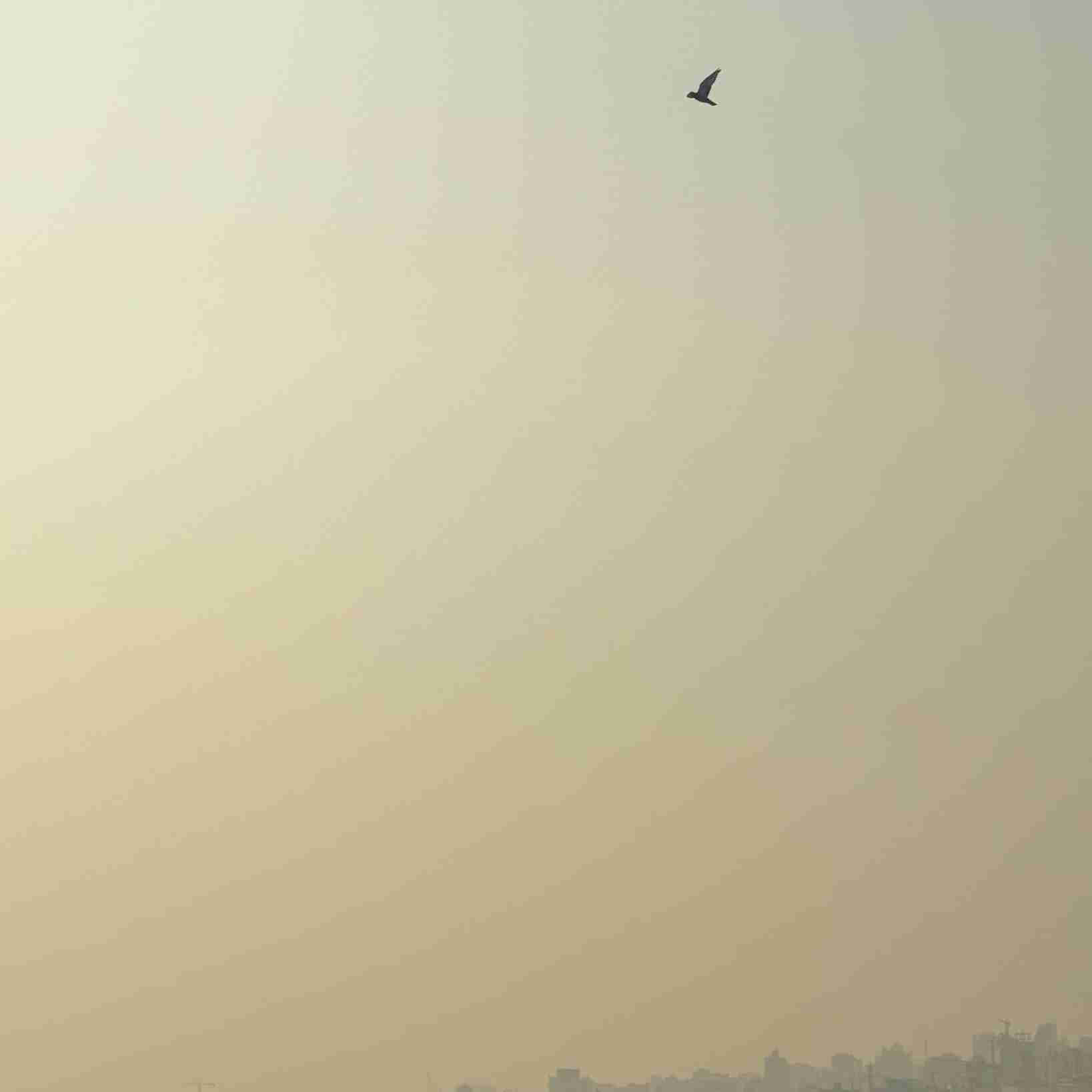 ‏تو که پَر داری؛ تو چرا اینجا موندی؟ 
پر بزن برو 