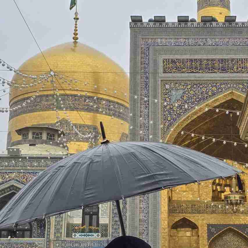 سلام علیکم.صبح زیبای شما بخیر ونیک... انشاالله تعالی به آرزوهای بزرگ وخوبتان برسید آمین یا رب العالمین 