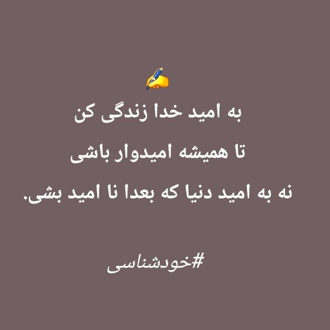 ✍️✍️✍️✍️