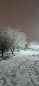 یادش بخیر،برف پارسال⛄🌨️