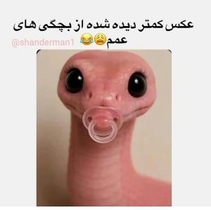 عمع حلالم کن😂😂😂