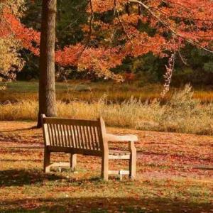 غروبتون شاد باشه 