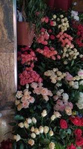 این گلها تقدیم داداشای مهربون  وبا معرفت  ک وجودشون با ارزشه