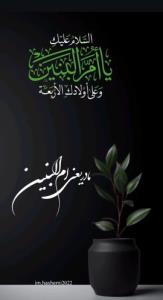 مادر علمدار...  سایه ات بر دلِ بی پناهم... 🕊🖤