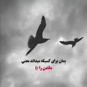 اونجا که حافظ میگه:🌹🤞🏼