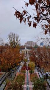 الگی تبریز😍😍