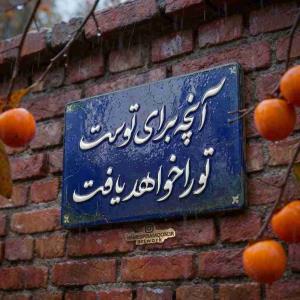 بعد از ظهر پنجشنبه شما بخیر ونیک نیک فرجام باشید انشاالله 