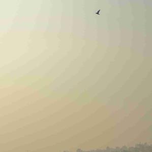 ‏تو که پَر داری؛ تو چرا اینجا موندی؟ 
پر بزن برو 